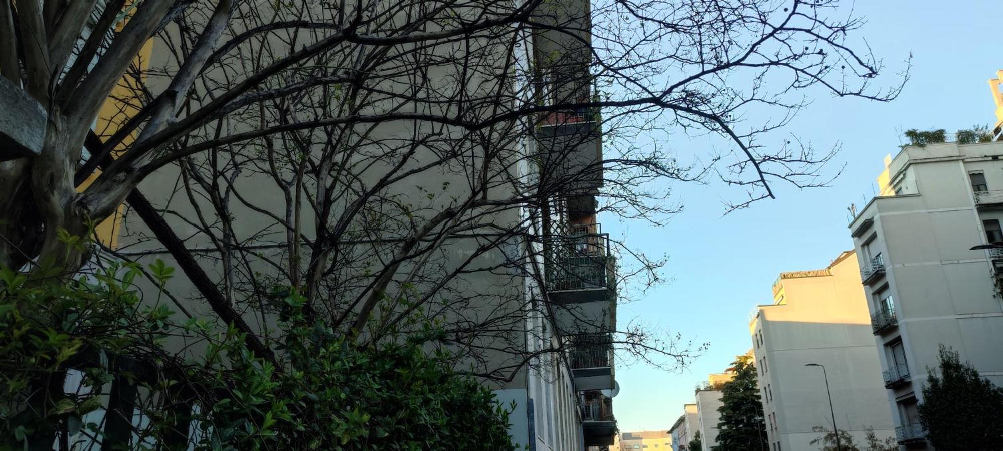 Accommodatie bij particulieren 2 Minimal Milaan